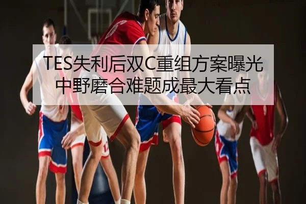 TES失利后双C重组方案曝光 中野磨合难题成最大看点